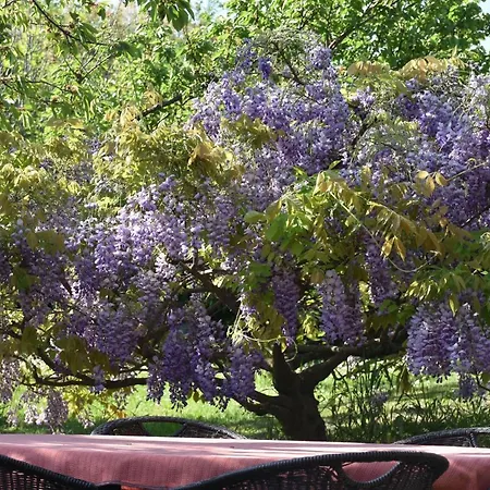 Apartament Pergola With Mediterranean Garden & Bbq Portorož