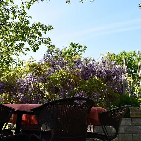 Pergola With Mediterranean Garden & Bbq Apartament *