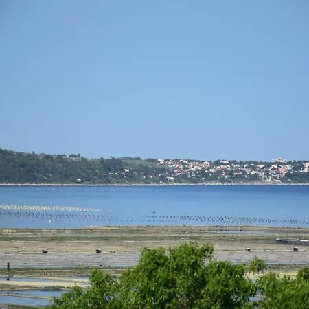 Pergola With Mediterranean Garden & Bbq Apartament Portorož