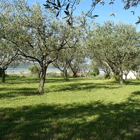 Pergola With Mediterranean Garden & Bbq Portorož