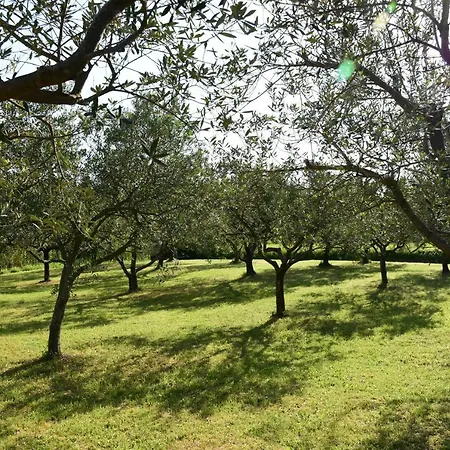 Pergola With Mediterranean Garden & Bbq