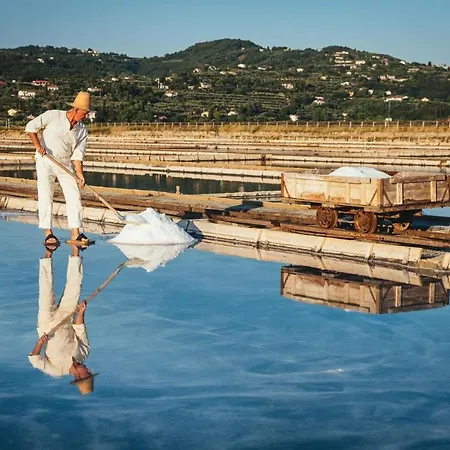 アパート Pergola With Mediterranean Garden & Bbq *