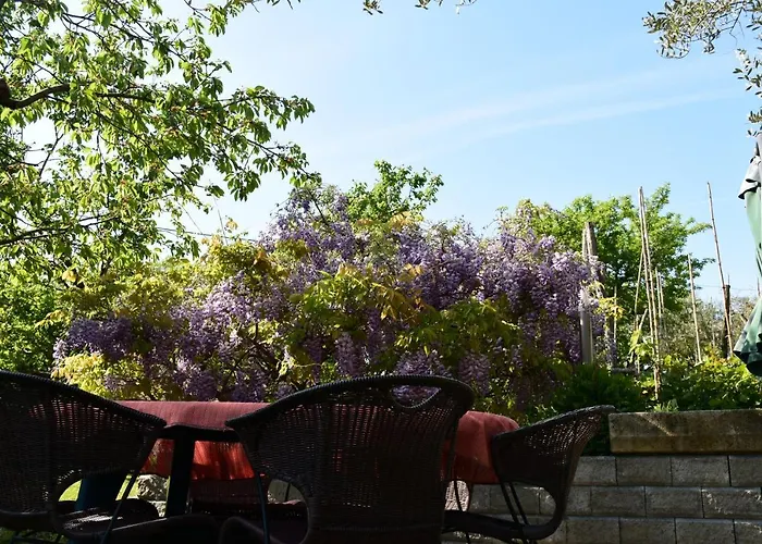 Pergola With Mediterranean Garden & Bbq Lejlighed *