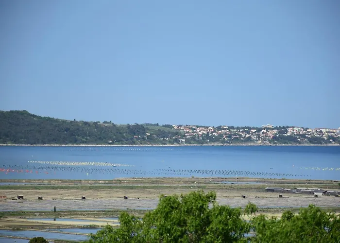 Pergola With Mediterranean Garden & Bbq Apartment Portorož