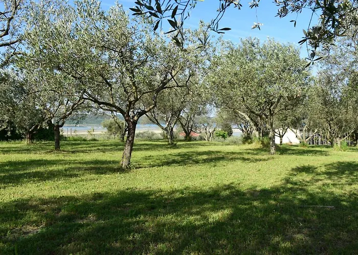 Pergola With Mediterranean Garden & Bbq Portorož