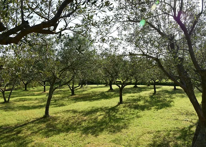 Pergola With Mediterranean Garden & Bbq