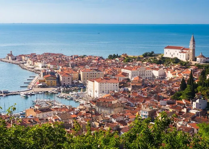 Pergola With Mediterranean Garden & Bbq Apartment *