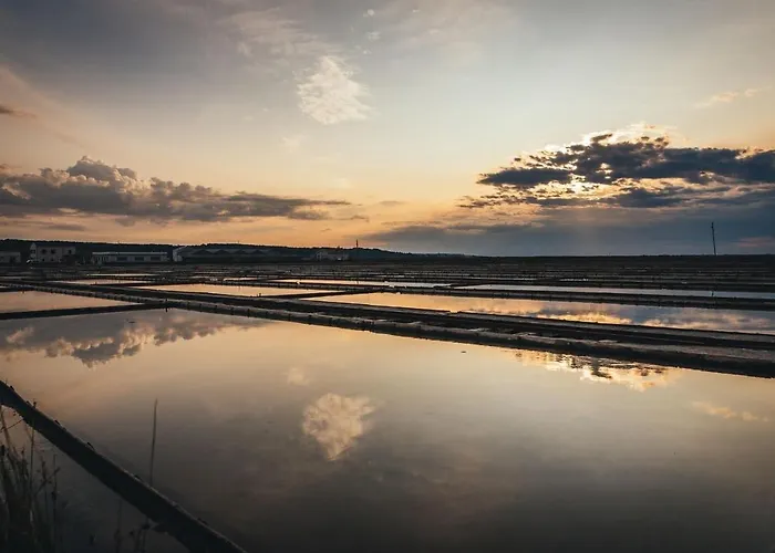 Apartment Pergola With Mediterranean Garden & Bbq *