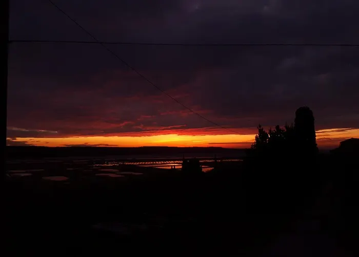 Pergola With Mediterranean Garden & Bbq Apartment Portorož